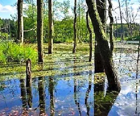 Nationalparkhotel Kranichrast Отель 3*